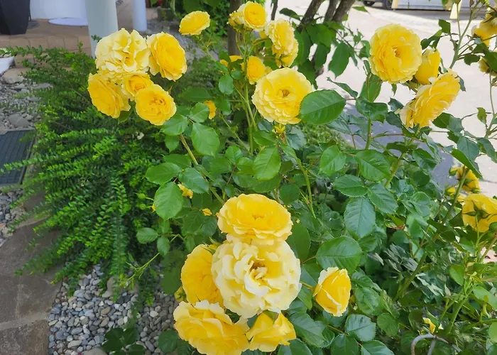 Haus Obere Weinburg Appartement *